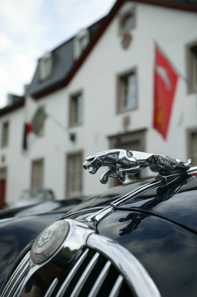Jaguar.jpg